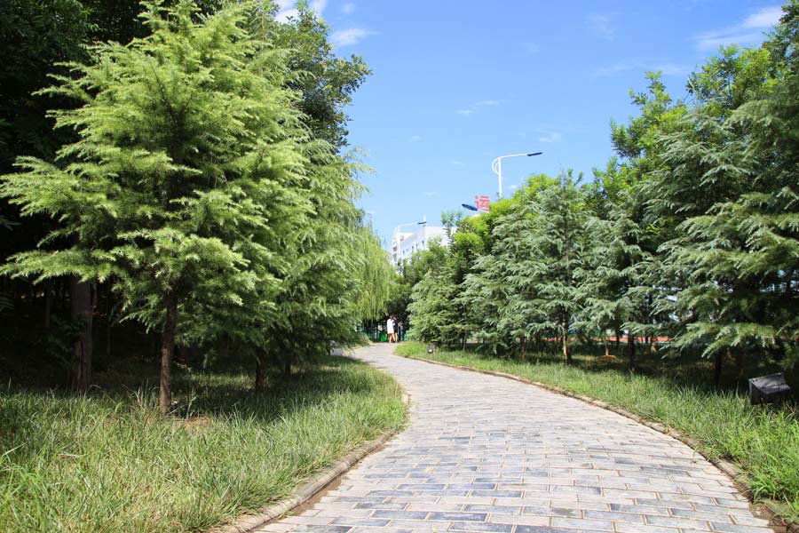 陕西华山技师学院新校区