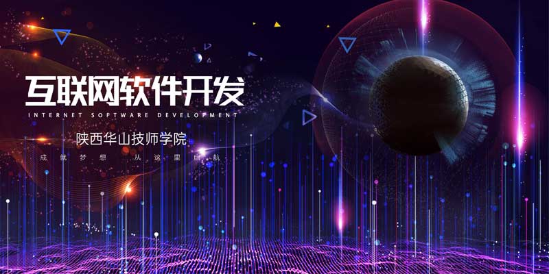 软件开发