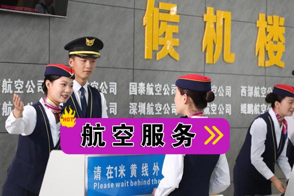 航空服务